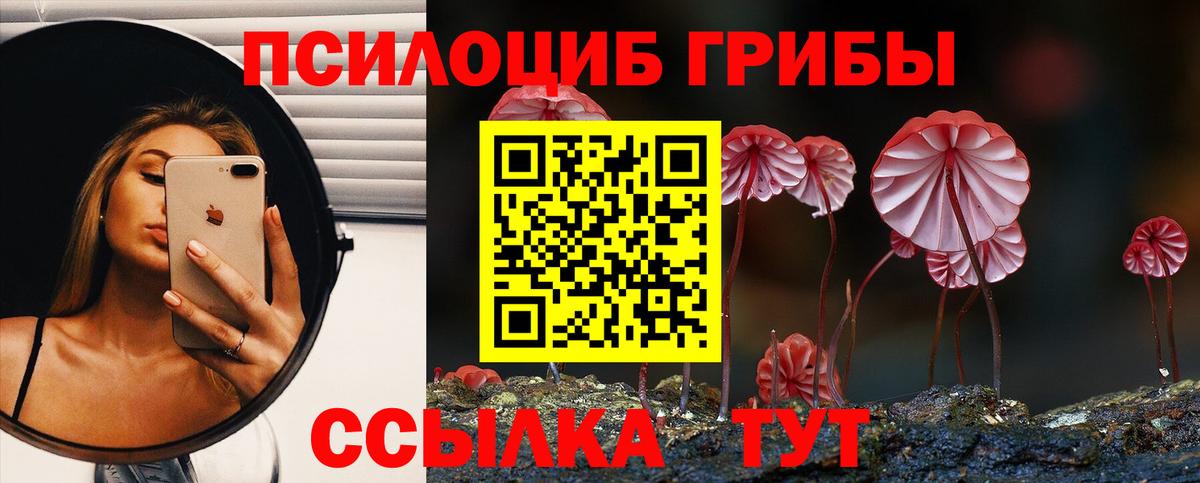 Псилоцибиновые грибы Cubensis  Вход с VPN  Десногорск 